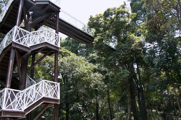竹崎親水公園內共有3座步道，可以親近大自然。 圖：取自嘉義縣文化觀光局網站