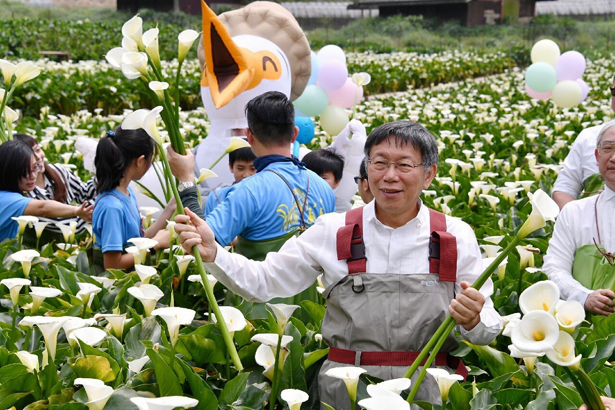 台北市長柯文哲今日出席陽明山海芋季活動。 圖：台北市政府 / 提供