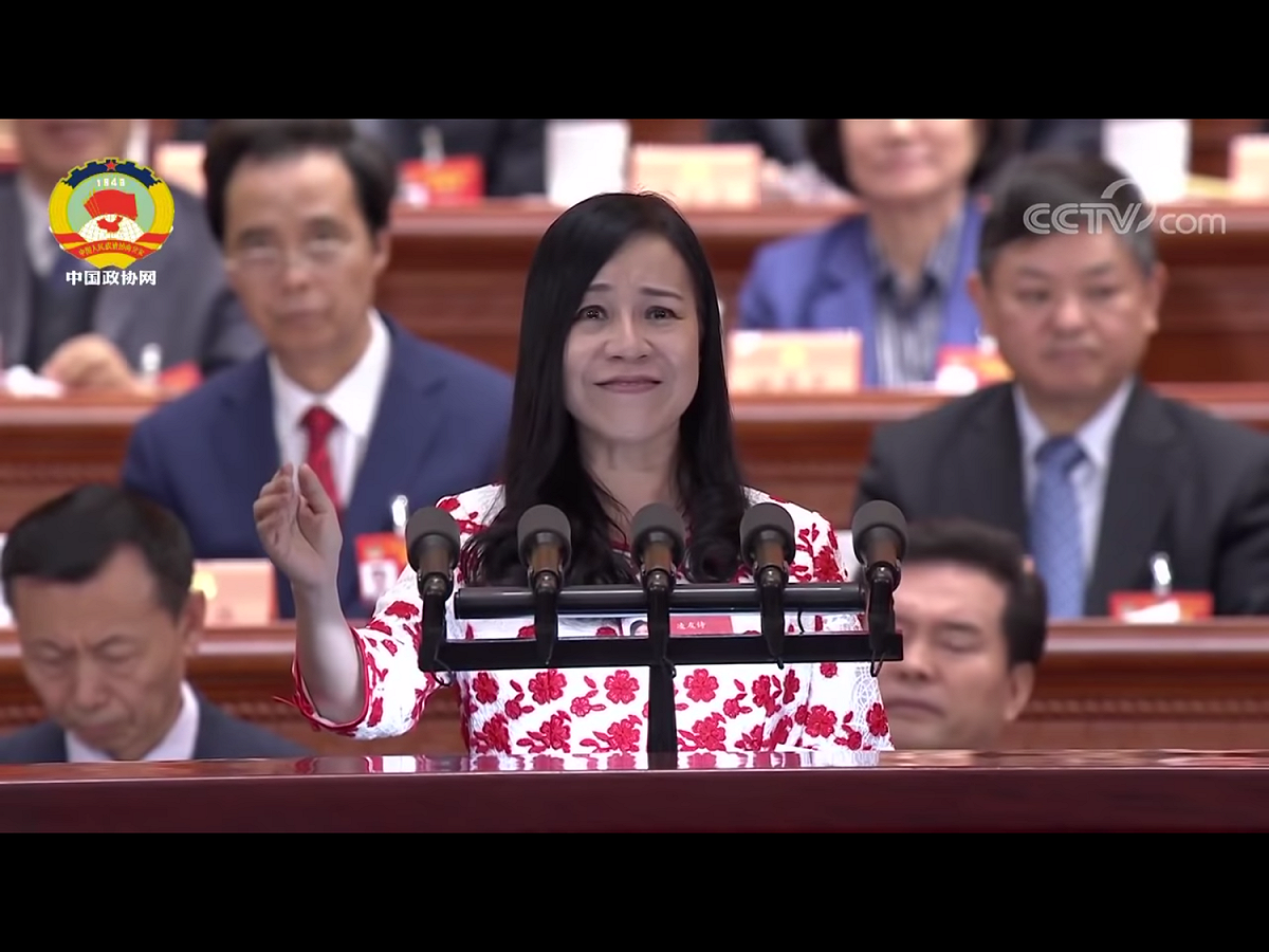 淩友詩的穿著打扮、言語行事，大致符合中共中央文件中關於「高級黑」和「低級紅」的定義，卻因為其身份特殊、橫跨台港，雖表演過火而有帶來負面影響，仍被「今上」所寬宥。      圖：翻攝自中國政協網