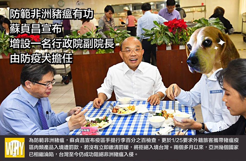 行政院長蘇貞昌在愚人節宣布「增設防疫犬副院長」（右二），網友喊「那個手手是邁邁」。 圖：翻攝自蘇貞昌臉書