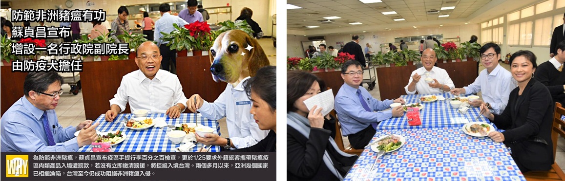 4月1日愚人節，行政院長蘇貞昌結合時事大玩KUSO哏，一早在臉書PO出多張合成照，以軟性方式做政令宣導。其中一張藉防疫話題宣布「增設一名行政院副院長，由防疫犬擔任」，搭配照片還把行政院副院長陳其邁的頭部P圖成米格魯，還掛上名牌「護國神犬」。比對相似原圖，證實狗臉位置的確就是「副院長」。 圖：新頭殼合成