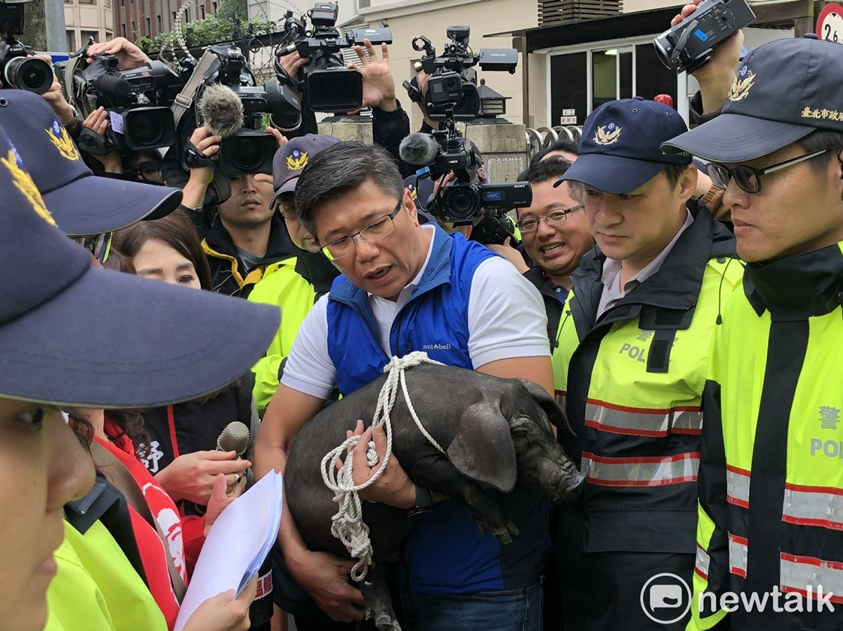 新北市議員陳明義抱小豬和警方溝通。 圖：謝莉慧/攝