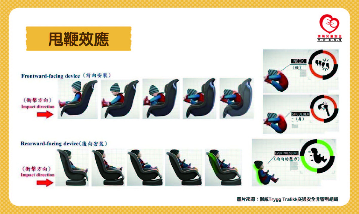 甩鞭效應示意圖。 圖：靖娟基金會／提供