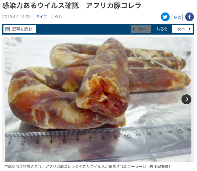 日本從中國旅客帶入境的兩條香腸中檢出傳染力強的非洲豬瘟病毒 圖：截自產經新聞網站