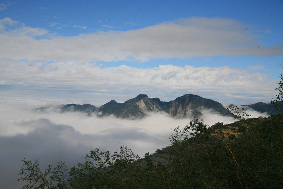 阿里山國家森林遊樂區有著豐富的自然景致。 圖：取自阿里山國家風景區管理處網站