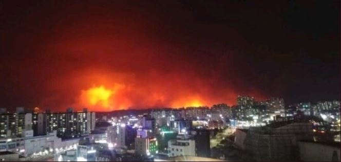 南韓江原道4日驚傳大火，緊急疏散逾4000人。 圖：翻攝自 Twitter