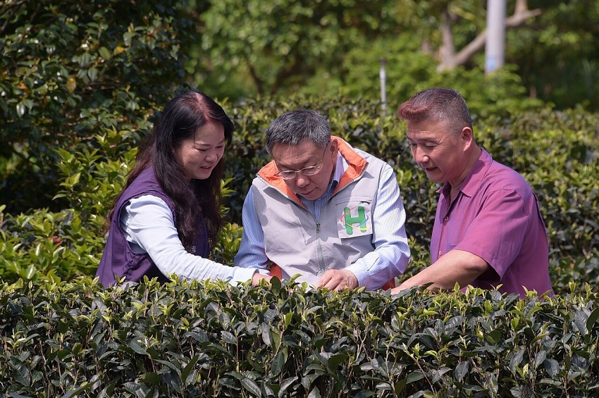 柯文哲今天前往德興茶園擔任一日社區醫師。 圖：台北市政府提供