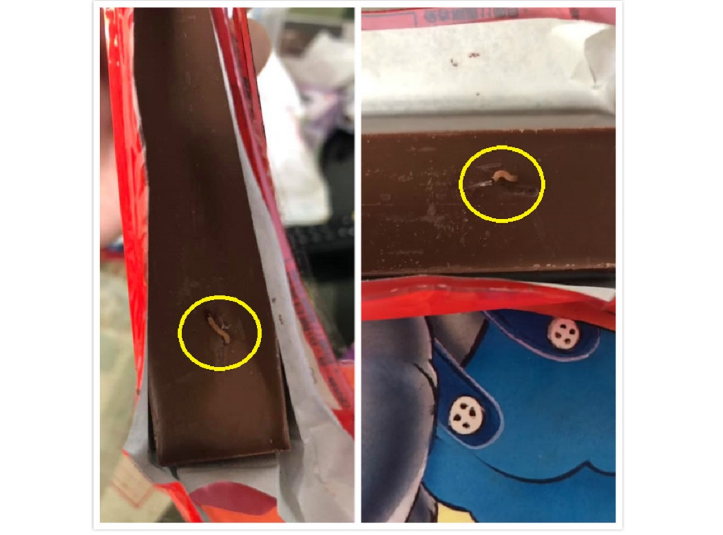 近日有網友表示，自己在好市多購買德國知名品牌巧克力，不料回家打開後竟驚見活生生的小蟲在蠕動，讓其他網友們看後都不禁直呼「好噁心！」 圖／翻攝自臉書社團COSTCO 好市多 消費經驗分享區
