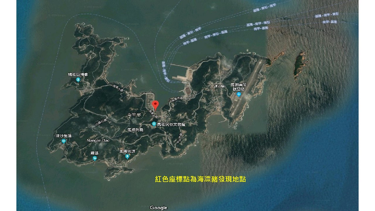 漂豬發現位置。 圖／取自防檢局