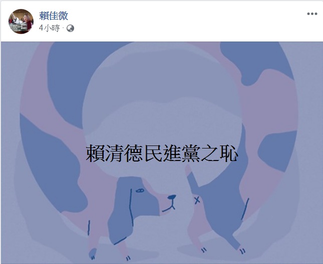 民進黨籍台中市議員賴佳微今天(10日)在臉書發文，只有短短一句：「賴清德民進黨之恥」8個字，卻引來不小的震撼。 圖：翻攝賴佳微臉書