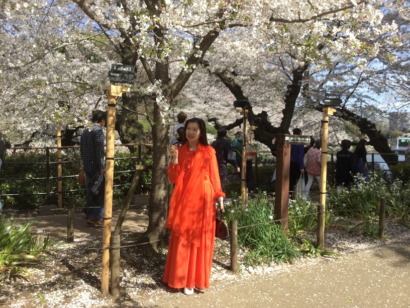 東京千鳥淵花吹雪或上野公園櫻花盛開，但處處都有非攀花不可的陸客(1)。 圖：劉黎兒／攝