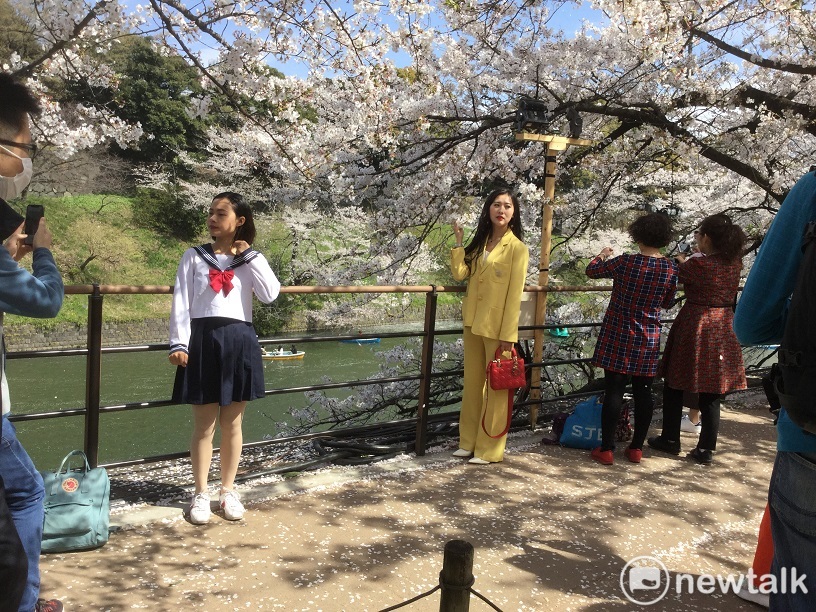 東京千鳥淵花吹雪或上野公園櫻花盛開，但處處都有非攀花不可的陸客(3)。 圖：劉黎兒／攝