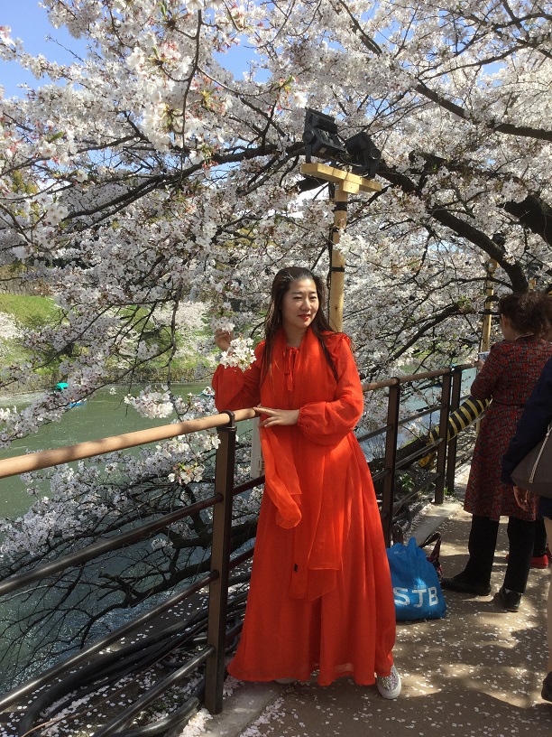 東京千鳥淵花吹雪或上野公園櫻花盛開，但處處都有非攀花不可的陸客(4)。 圖：劉黎兒／攝