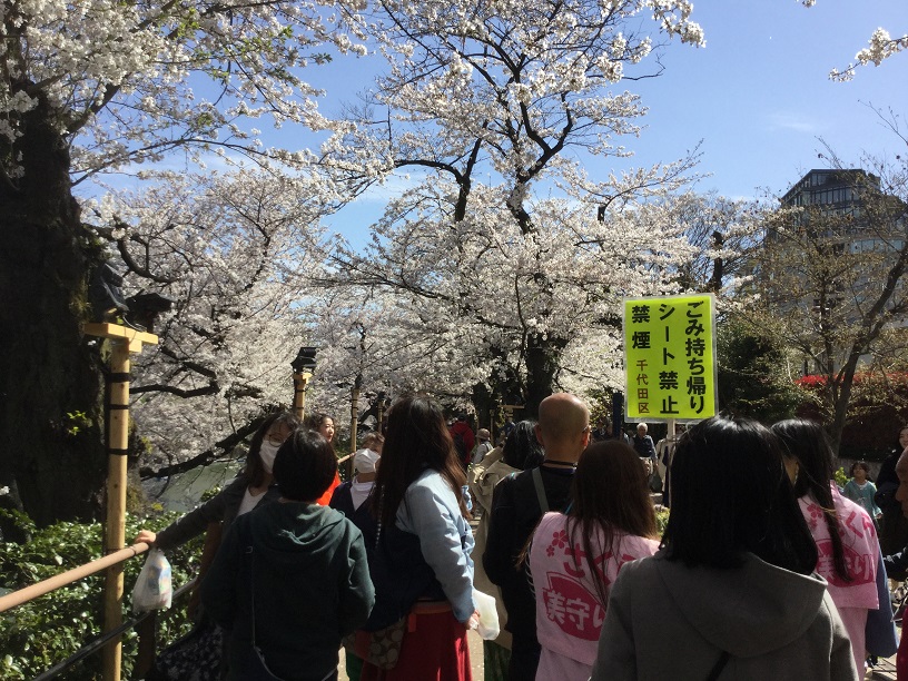千鳥淵今年出動大批人力呼籲觀光客不要亂丟垃圾。 圖：劉黎兒／攝