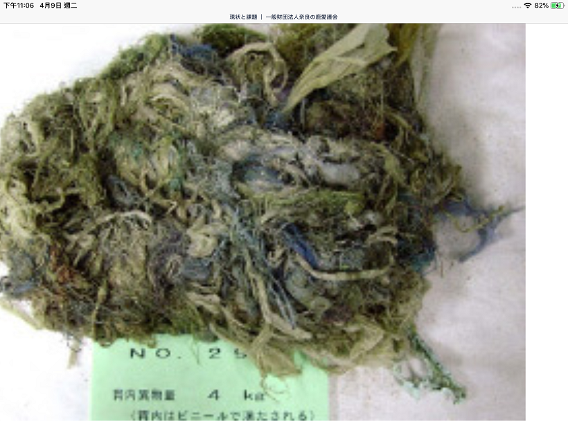 奈良鹿肚內有3公斤甚至4公斤的塑膠袋，從陸客暴增後就有的問題，導致鹿的死亡(2)。 圖：截自朝日電視網站