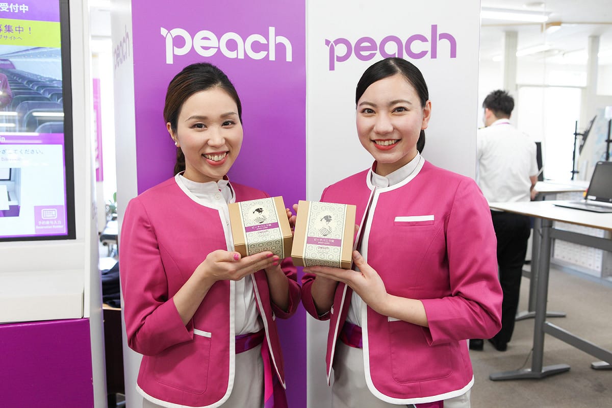 樂桃航空自3月起，台日航線部分航班停飛、減班。 圖：樂桃航空提供