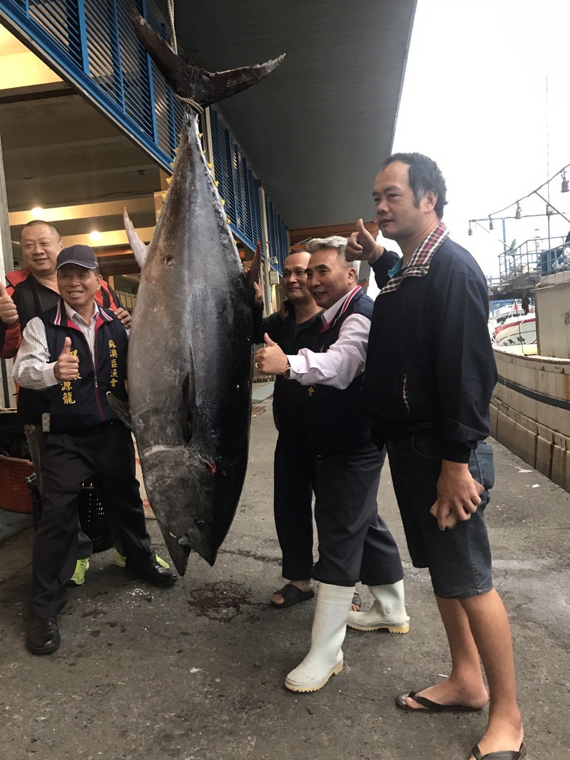 蘇澳籍漁船金協益268號捕獲全國「第一鮪」。 圖：蘇澳區漁會/提供