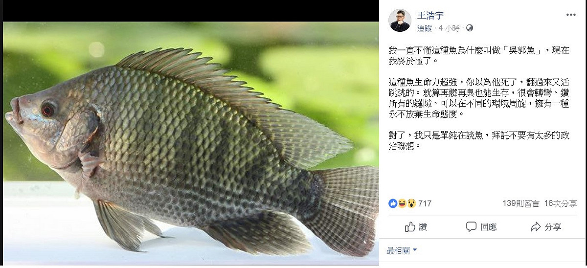 對於國民黨新出現的「吳郭瑜」組合，桃園議員王浩宇今日突然在臉書上ｐｏ出「吳郭魚」，並表示我一直不懂這種魚為什麼叫做「吳郭魚」，現在我終於懂了。