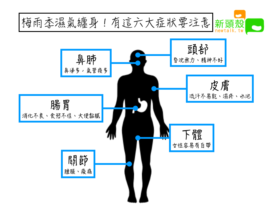梅雨季「濕」氣纏身！有這六大症狀要注意 圖：新頭殼/製表