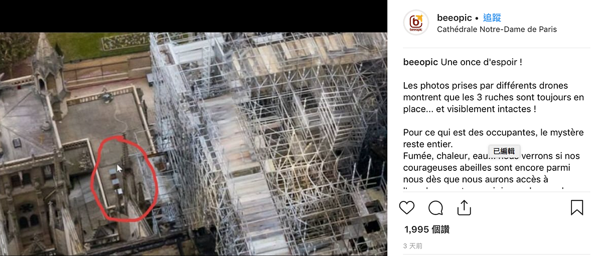 蜂巢就在聖母院屋頂旁。 圖：擷取自Beeopic/IG