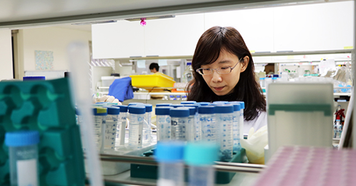 國立陽明大學醫學院臨床醫學研究所發現，免疫療法不僅可以治療癌症，也具有治療自體免疫疾病的潛力。 圖／陽明大學醫學院臨床醫學研究所提供