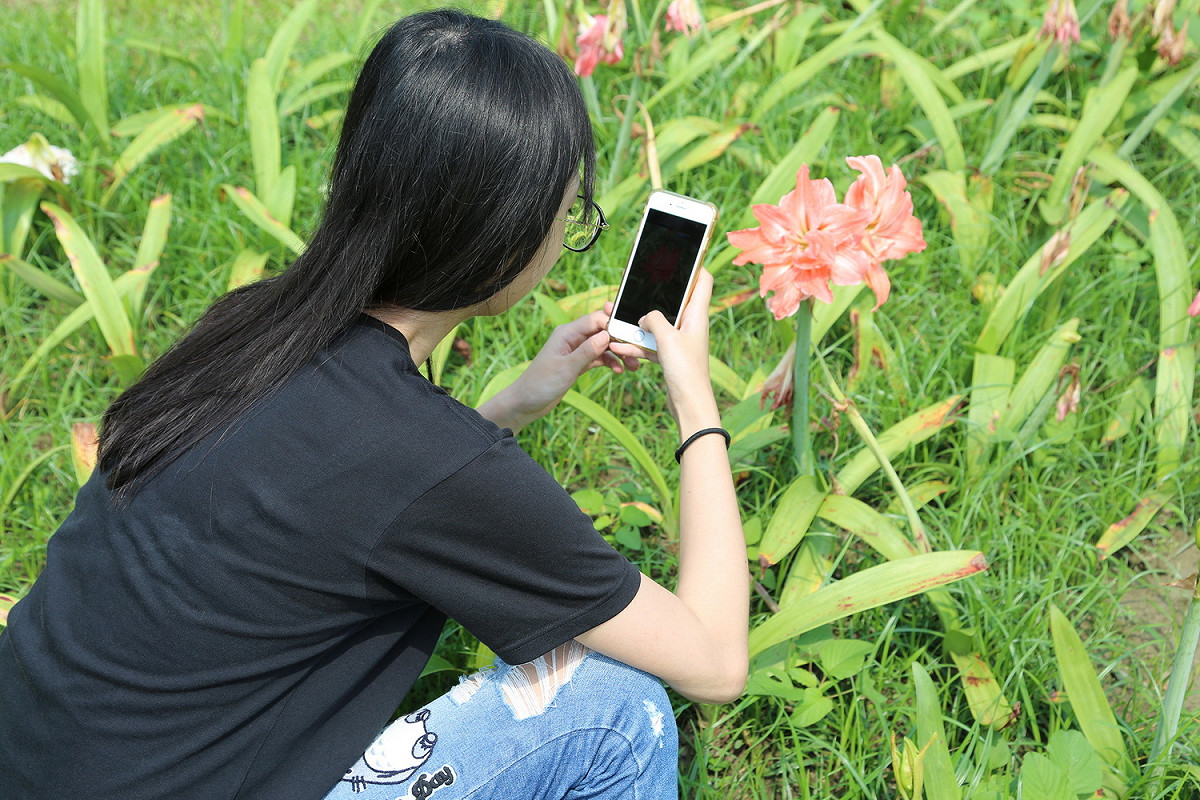 全台民眾走出戶外，使用iNaturalist記錄嘉義縣巿生物上傳，即可參與城市自然大挑戰。 圖/嘉義大學提供，2019.04.23