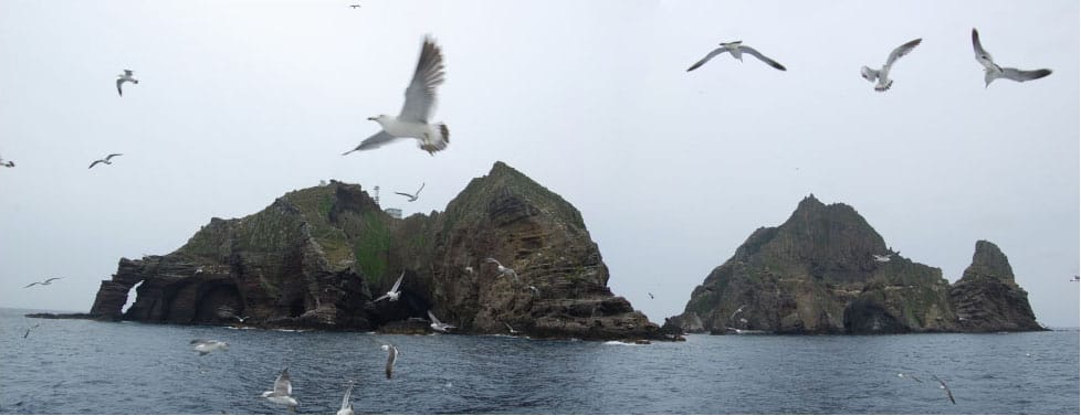 俄羅斯戰機今天直接侵入南韓獨島一帶領空。 圖：翻攝自維基網站