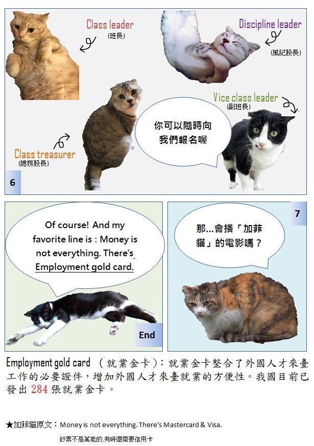 國發會經營社群媒體大打「貓咪牌」，擄獲不少貓奴的心。 圖/國發會臉書