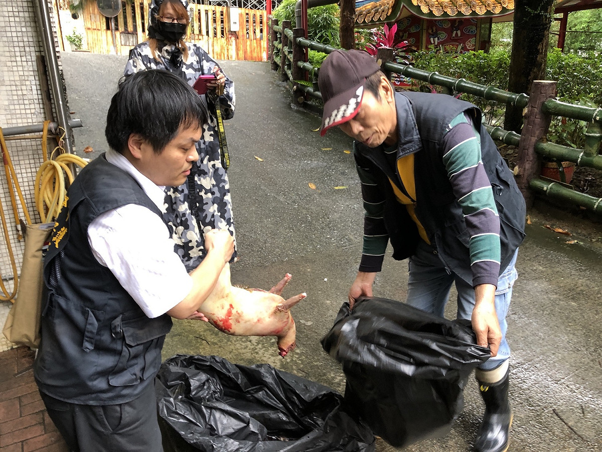 動保所人員當場沒收屠體。 圖 : 基隆市政府/提供