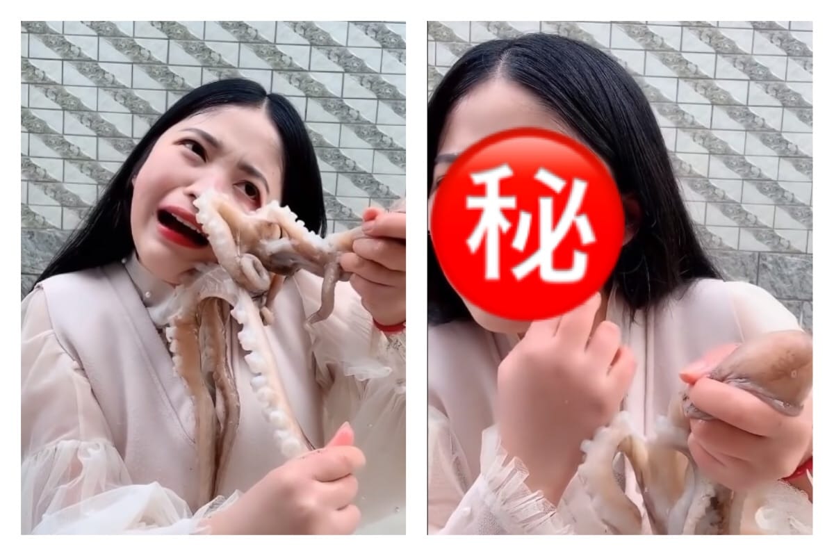 女主播慘遭章魚吸臉破相。 圖／翻攝自Youtube 影片