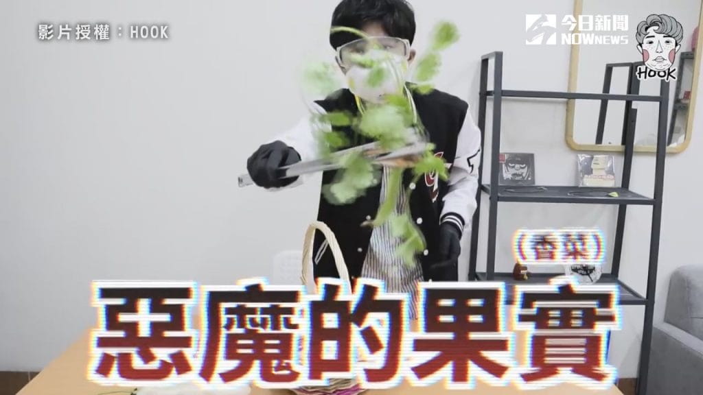 香菜對於某些人來說，如同惡魔的果實般恐怖。 圖／HOOK 授權