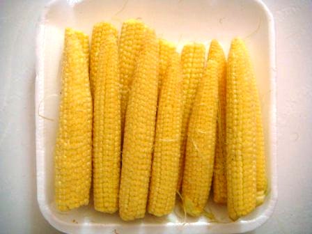 根據農委會資料顯示，玉米筍其實就是玉米生長過程中多餘的幼穗，跟筍沒有關係。 圖：取自農委會農業兒童網