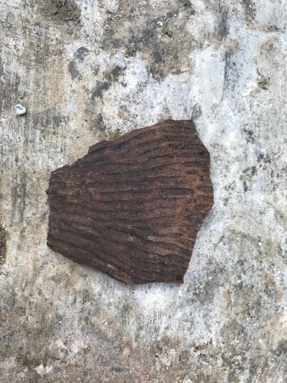 由清大人類學研究所所長臧振華所率的考古團隊，在基隆市和平島的兩處停車處預定地進行考古發掘，竟發現橫跨新石器時代、鐵器時代、明代及清代的古文物。 圖：基隆市政府/提供