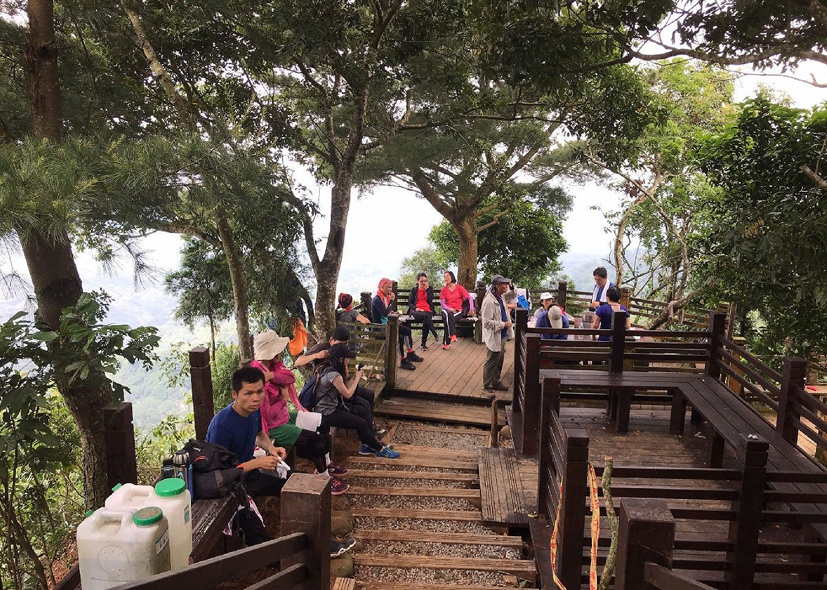 台中市大坑登山步道總是吸引許多登山民眾前往，臺中市觀光旅遊局今年４月起經常接獲民眾通報步道扶手有荔枝椿象出沒。 圖：由台中市政府提供。