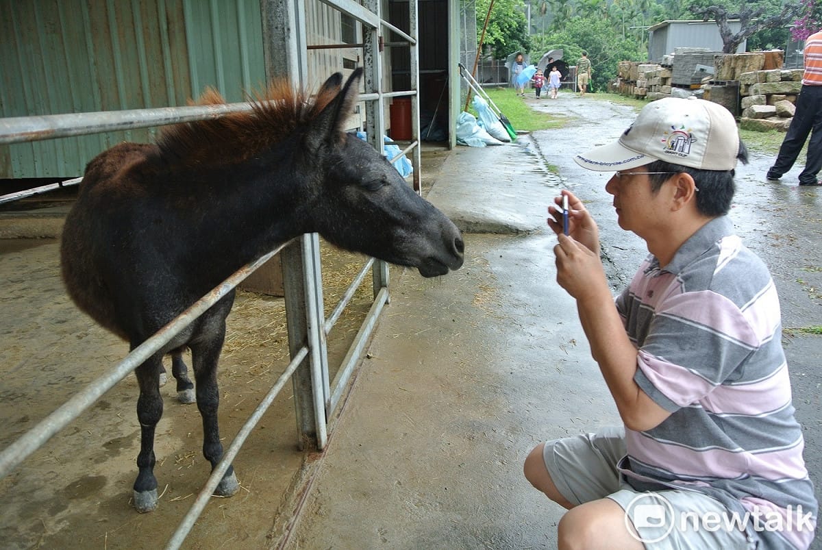 可愛動物會跟遊客互動。 圖：唐復年/攝