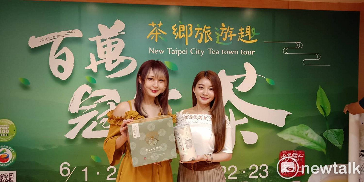 今年新北春節製茶期適逢氣候適宜，香氣特別濃郁，品質尤佳。 圖：王峻昌/攝