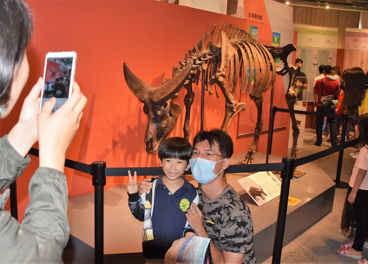 澎湖古生物特展今日開幕 親子闔家寓教於樂