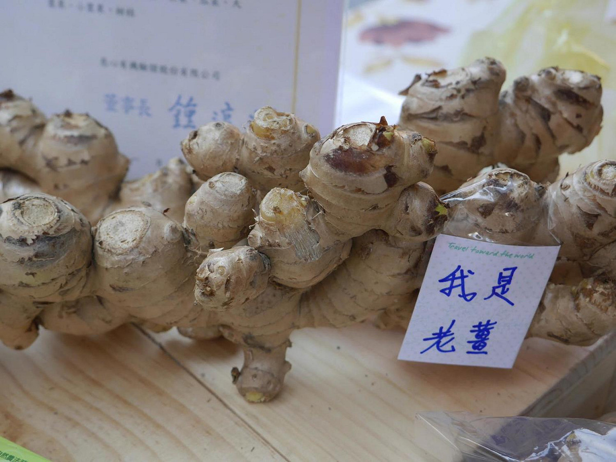 薑的嗆味來自於「薑辣素」，能幫助血管擴張與血液循環，讓身體發熱。 圖：取自農業兒童網官網