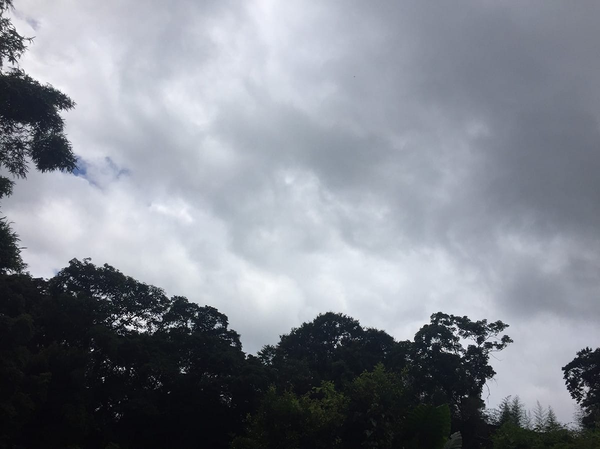 中央氣象局今（4）日9點50分針對台南及高雄地區發布大雨特報，提醒民眾注意瞬間大雨、雷擊及強陣風 圖：閻芝霖/提供
