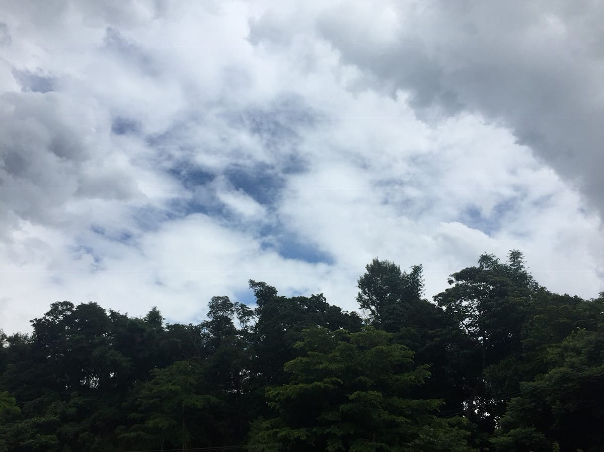 今（5）日各地大多為多雲到晴的穩定天氣，僅僅只有花、東地區有零星短暫陣雨，中央氣象局提醒民眾，午後外出可攜帶輕便雨具以備不時之需 圖：閻芝霖／提供