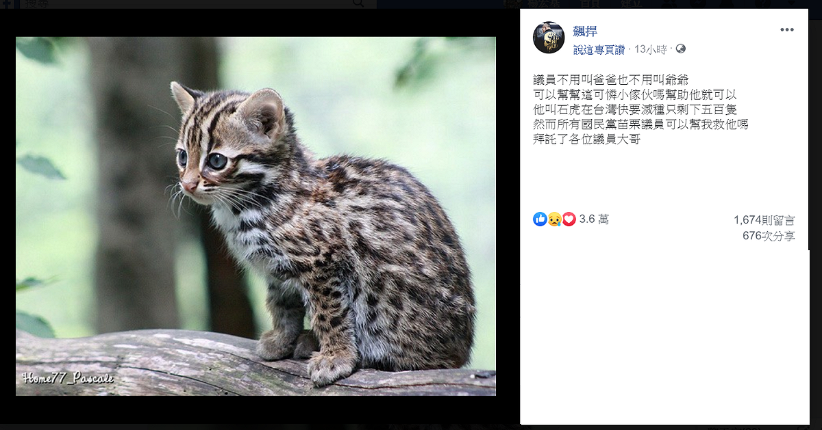 「不用叫爸爸也不用叫爺爺」 館長點名「國民黨苗栗議員」救石虎