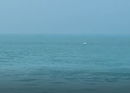 台灣白海豚國際顧問團成員陳昭倫表示，這次的白海豚目擊紀錄來自桃園永安漁港的漁船，拍攝到一群共4隻白海豚，分別為2大2小。 圖：「珍愛桃園藻礁」臉書粉絲專頁提供