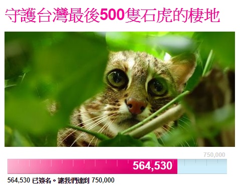 網路連署平台「AVAAZ」發起「守護台灣最後500隻石虎的棲地」連署。 圖/翻攝自AVAAZ