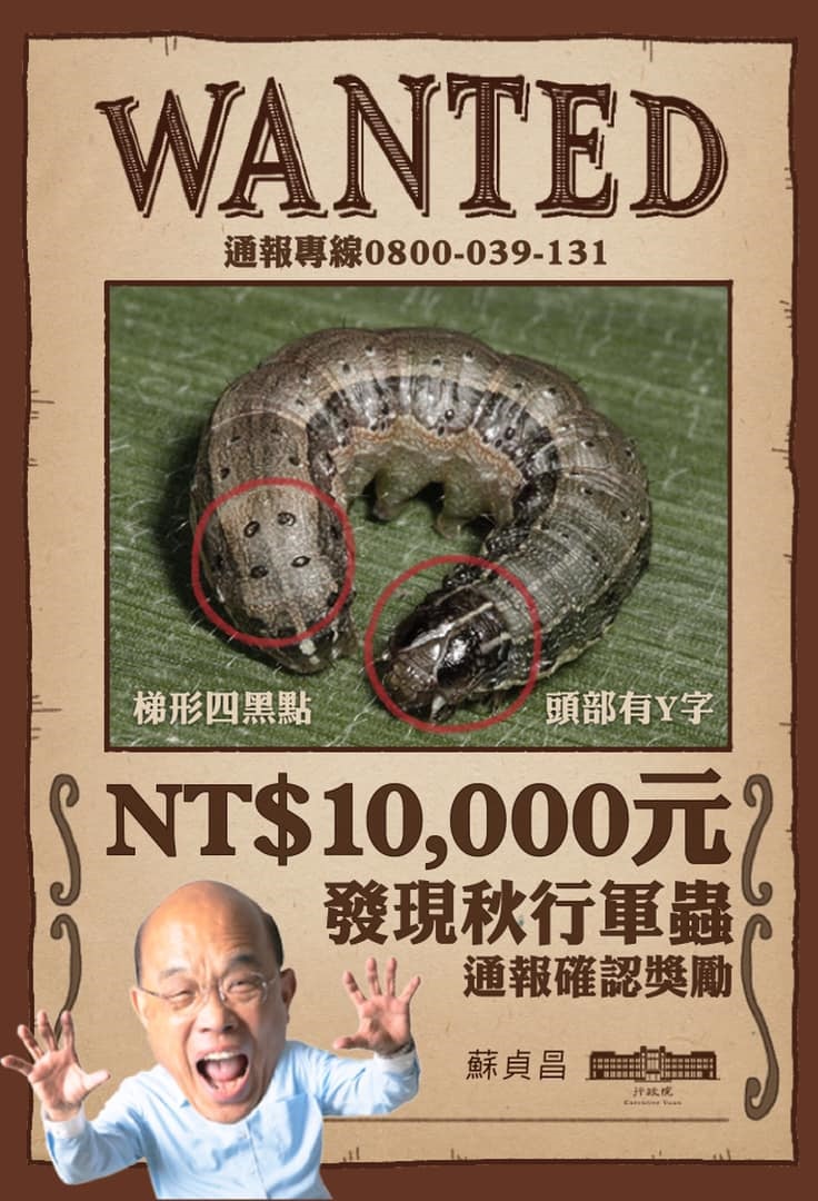 政府懸賞捉拿秋行軍蟲。 圖：蘇貞昌臉書