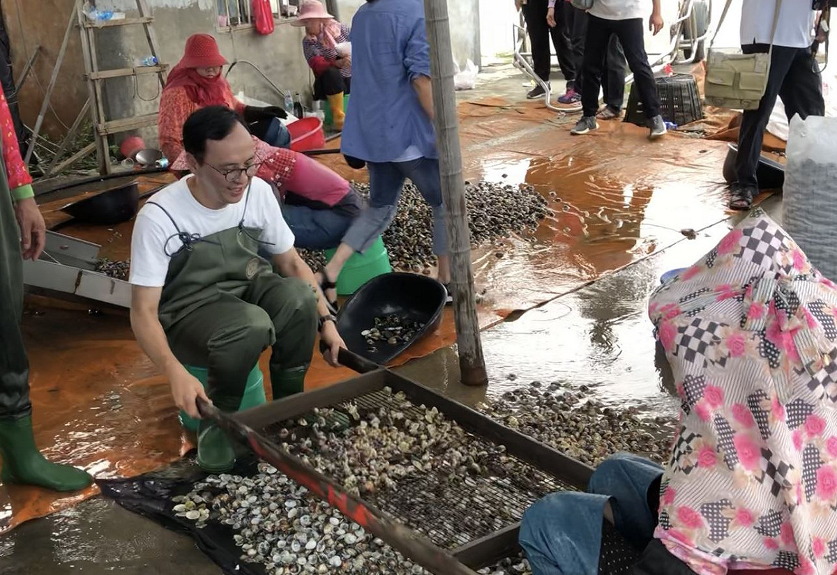 朱立倫一早到台西養殖魚塭，穿青蛙裝下水和漁民一起採收文蛤 圖：朱立倫辦公室／提供