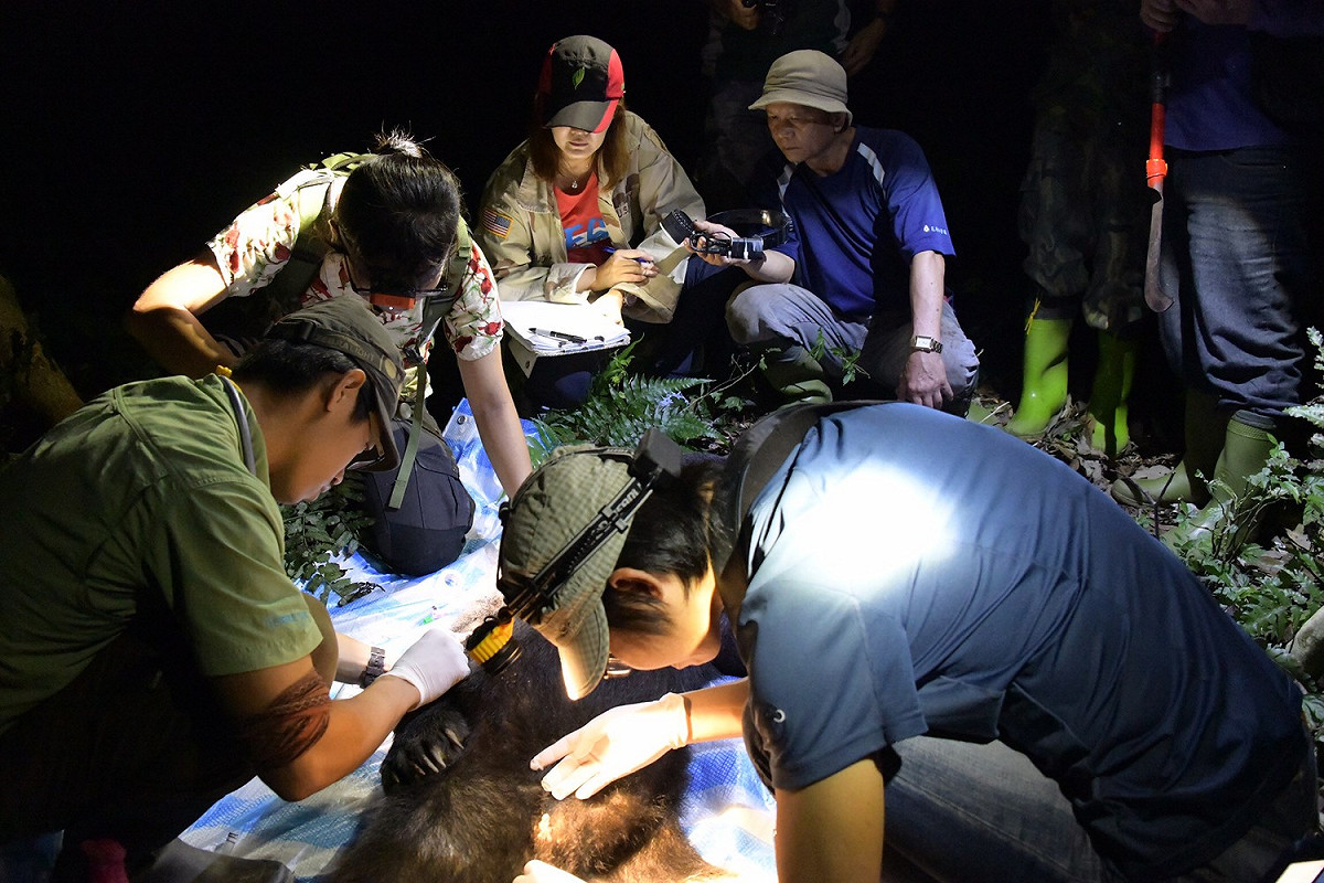 花蓮林管處、台灣黑熊協會及屏東科技大學教授黃美秀等，組成10人救難隊救援台灣黑熊 圖：花蓮林管處/提供