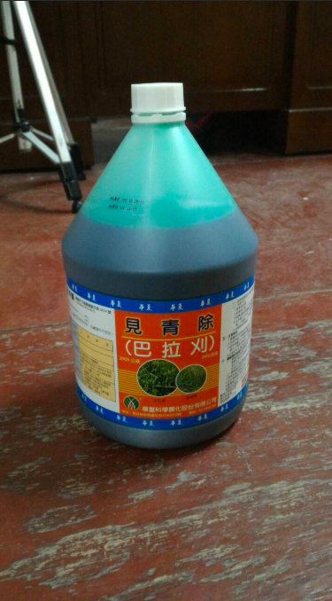 巴拉刈是致死率最高的農藥，即使使用免疫抑劑療法、血液淨化、與添加物（催吐劑、瀉劑、與藻膠來吸附巴拉刈），其致死率仍高。巴拉刈於醫學上至今沒有有效的解毒劑。 圖：宜蘭縣政府/提供