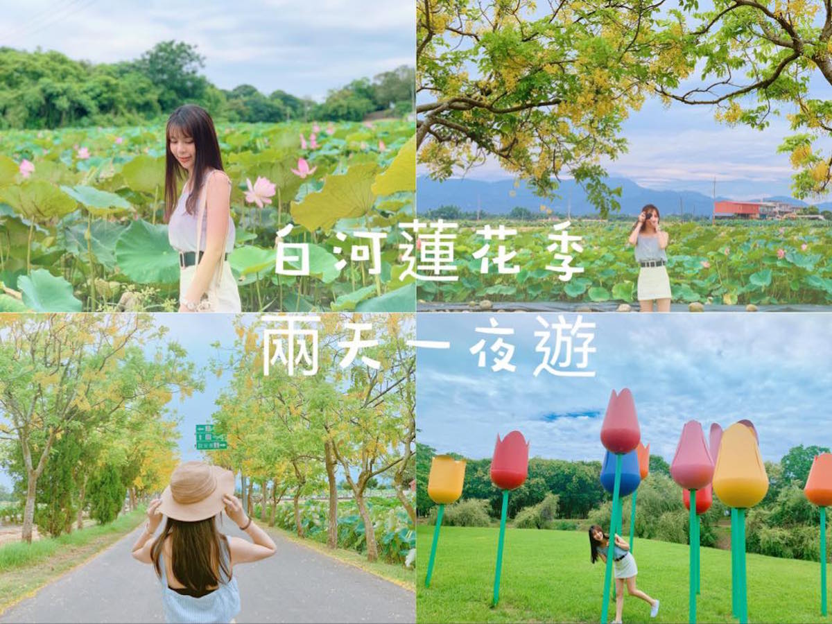 圖 : nownews/提供