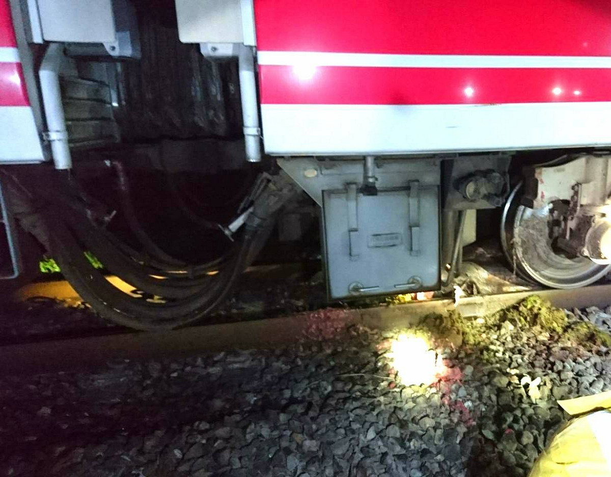 448車次普悠瑪自強號撞牛事故。 圖/台鐵提供