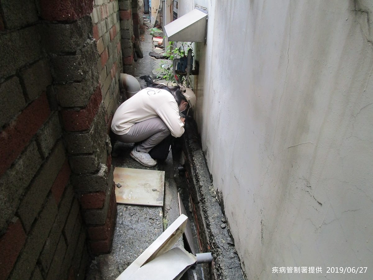 全台截至27日止共有27例本土登革熱確診案例，光是高雄三民區就占24例。 圖：疾管署／提供